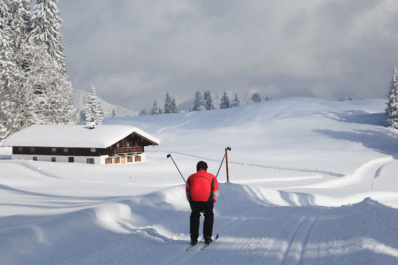 Langlauf klassisch im Bayerischen Wald